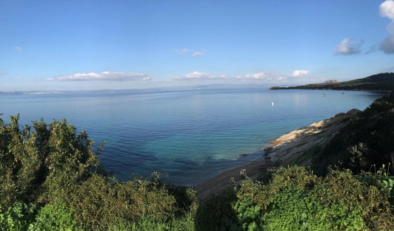Hotel Almanarre Plage - Hotel Eco-Responsable Face A La Mer イエール エクステリア 写真